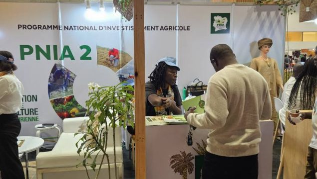 NC 2024-GLT-CI au Cœur de l'Or Brun de la Côte d'Ivoire 5